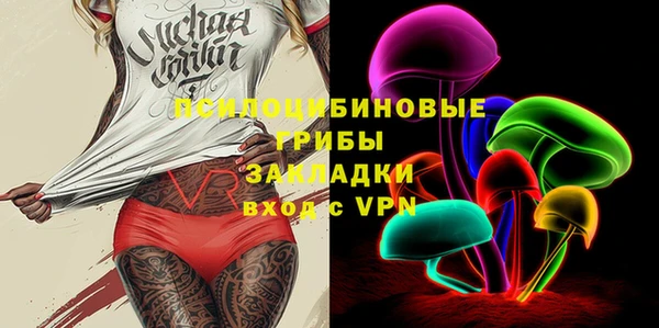 ешки Богородицк