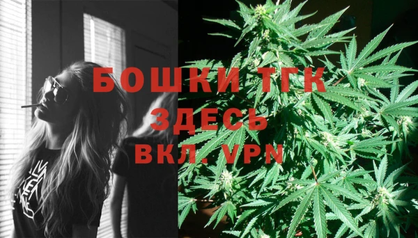 ешки Богородицк