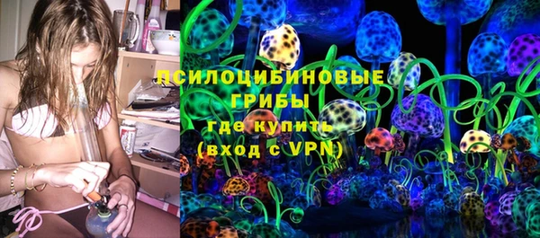 прущая мука Богородск